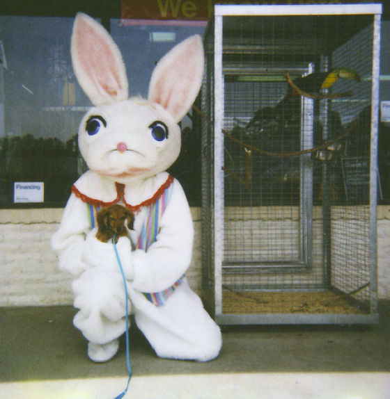 funny bunnies 640 39