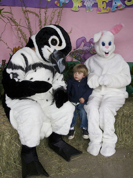 funny bunnies 640 01