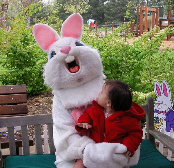 funny bunnies 640 41