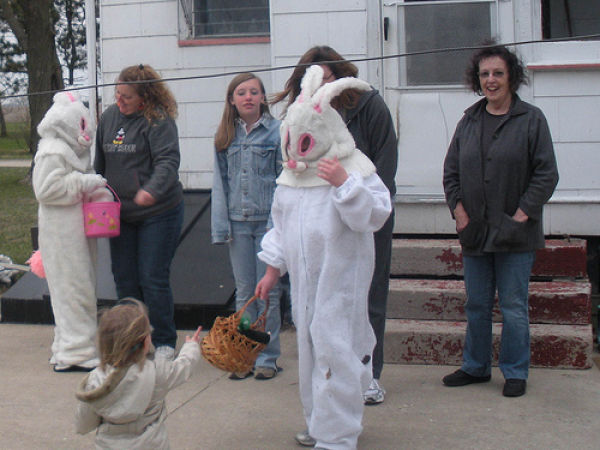 funny bunnies 640 22